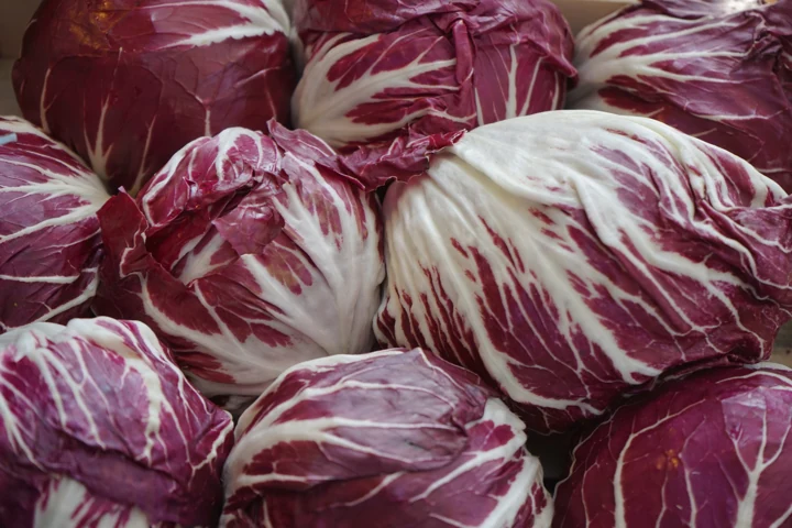 Cabbage (Red)