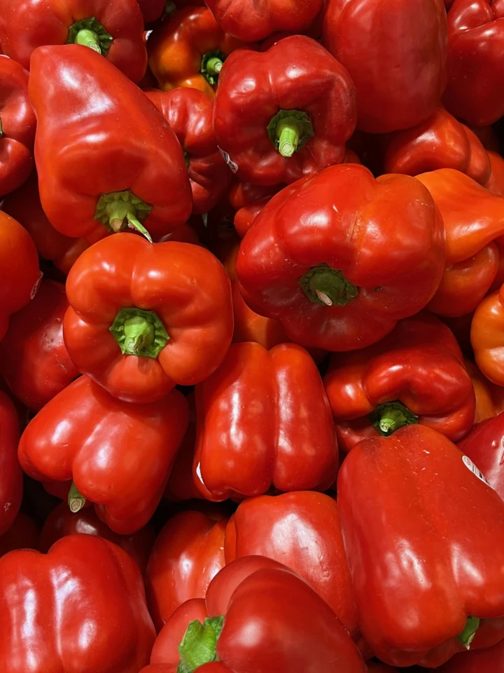 Capsicum (Red)