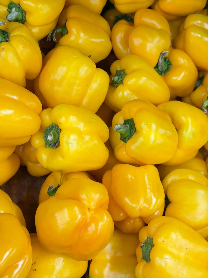 Capsicum (Yellow)