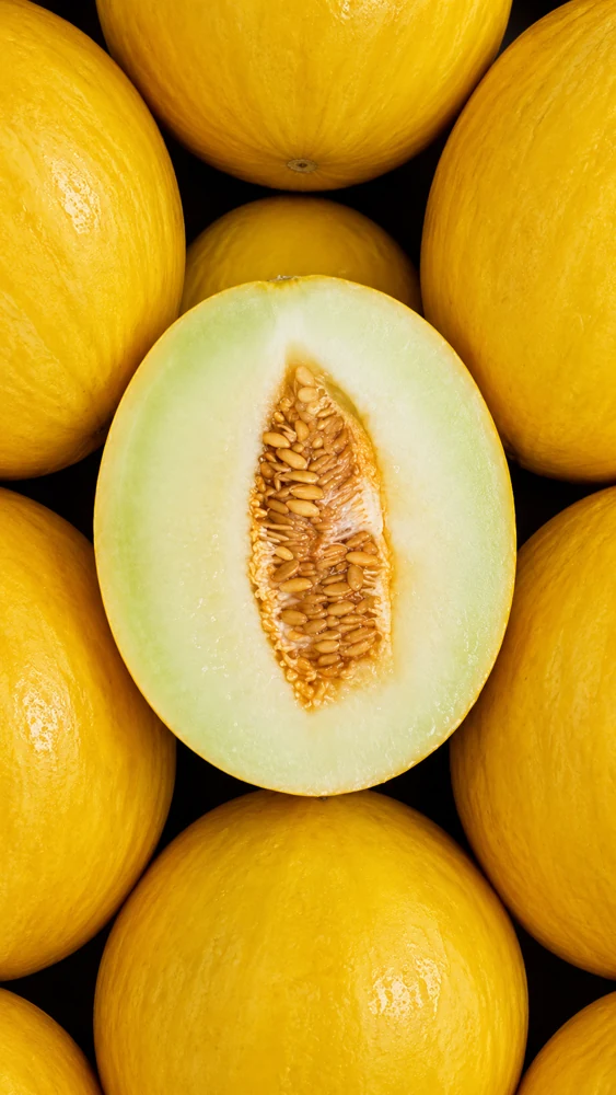 Honey Melon