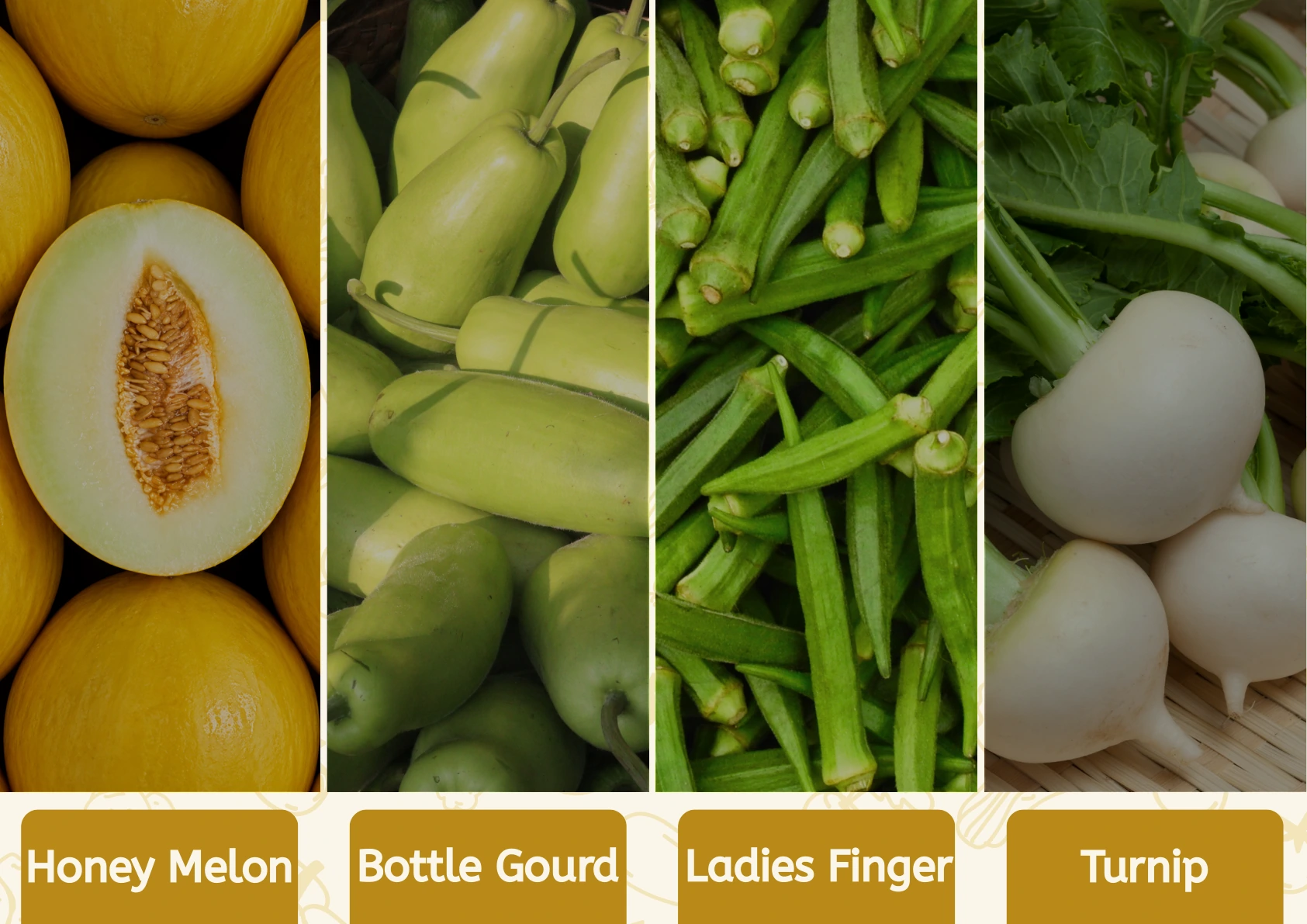 Honey Melon, Bottle Gourd, Ladies Finger and Turnip