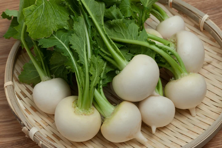 Turnip
